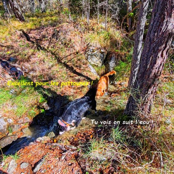 IMG_20251027_121145bb