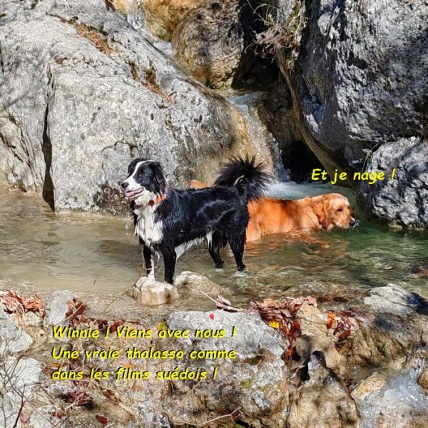 IMG_20251027_121334bb_1