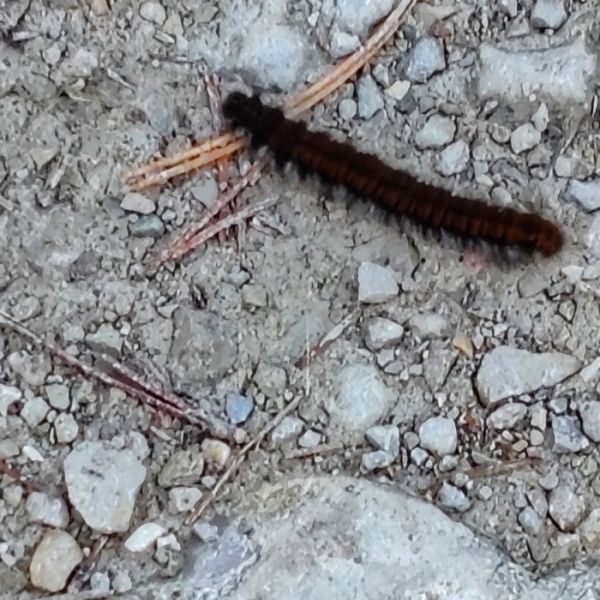 IMG_20251027_123028bb