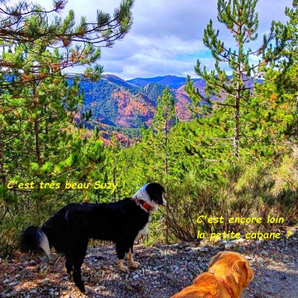 IMG_20251027_123257bb