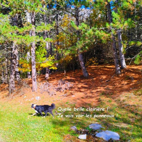 IMG_20251027_124501bb