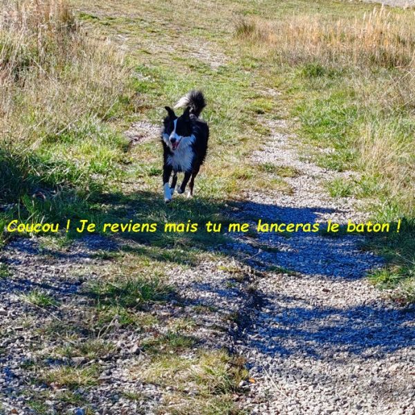 IMG_20251028_120957BB