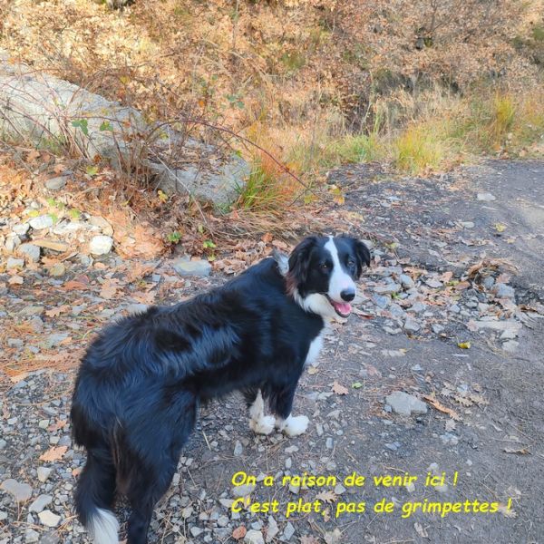 IMG_20251120_115855bb