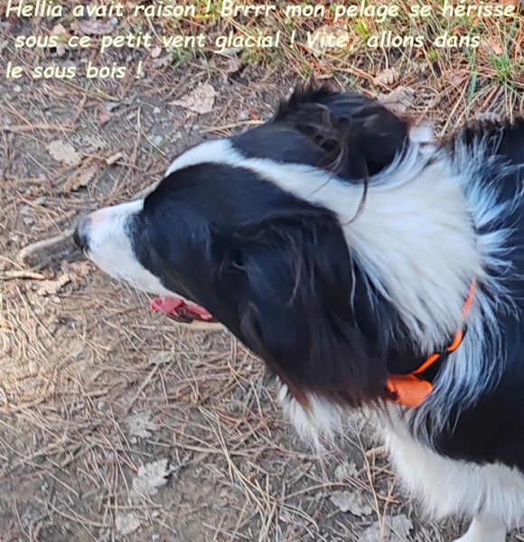 IMG_20251120_123320bb