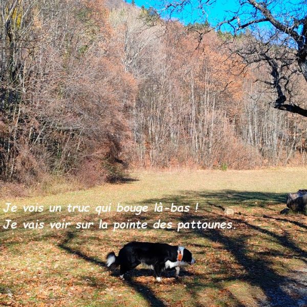 IMG_20251122_114700bb