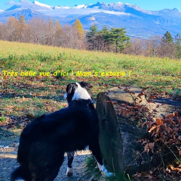 IMG_20251122_114717bb