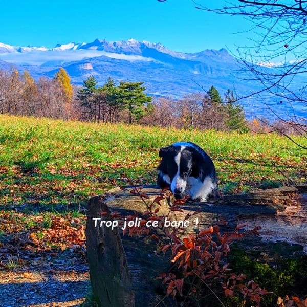 IMG_20251122_114720b