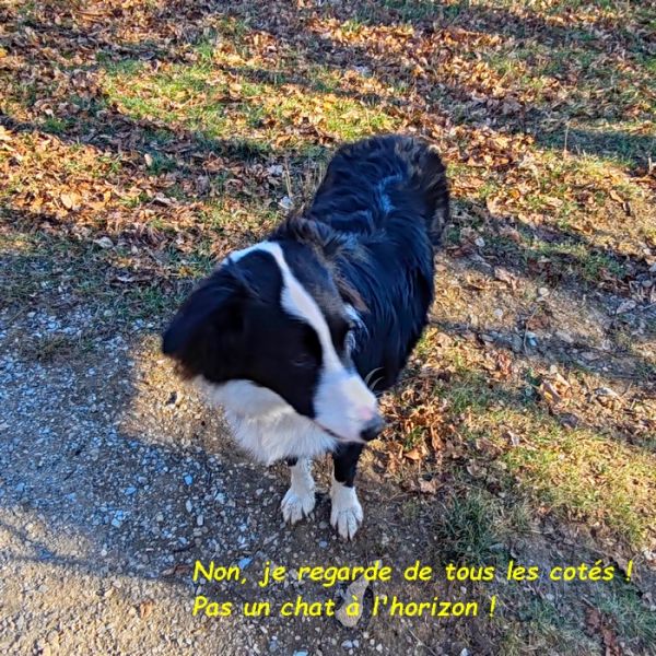 IMG_20251122_114846bb