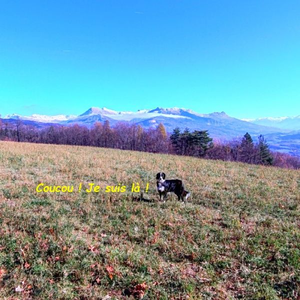 IMG_20251122_114932bb