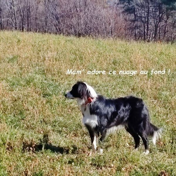 IMG_20251122_114939bb