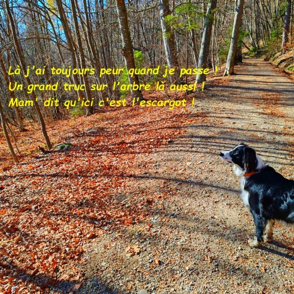 IMG_20251122_115907bb