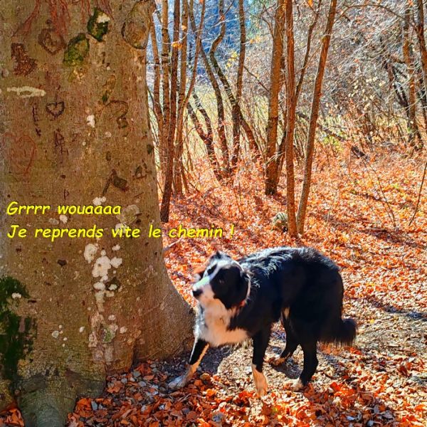 IMG_20251122_120003bb