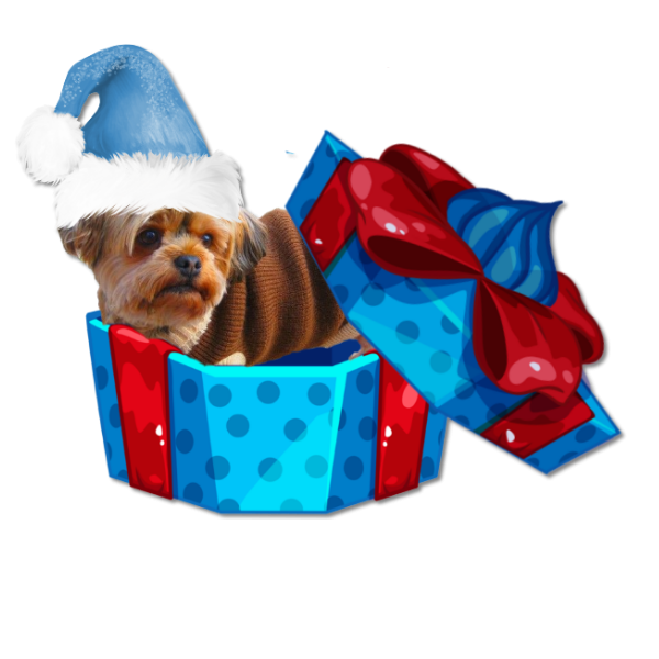 Joyeux_anniversaire3