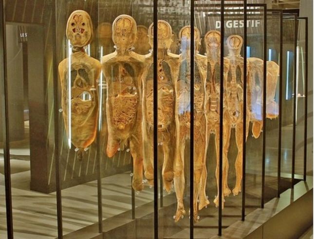 KA1261P14_655_400_filled