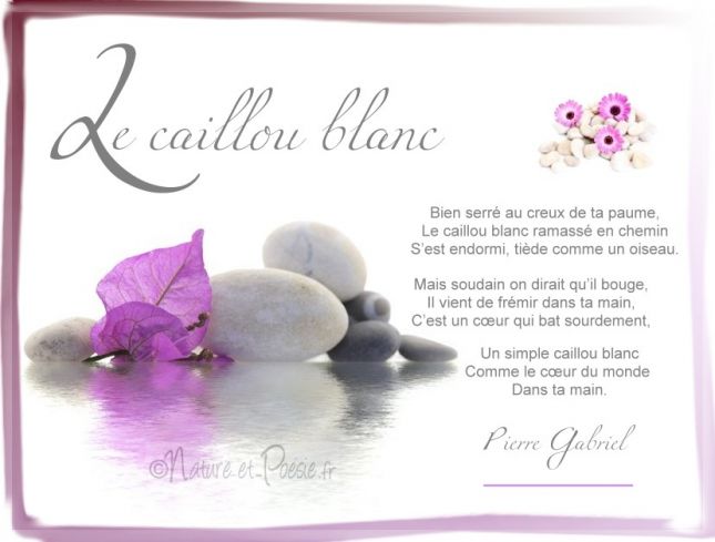 Le-caillou-blanc
