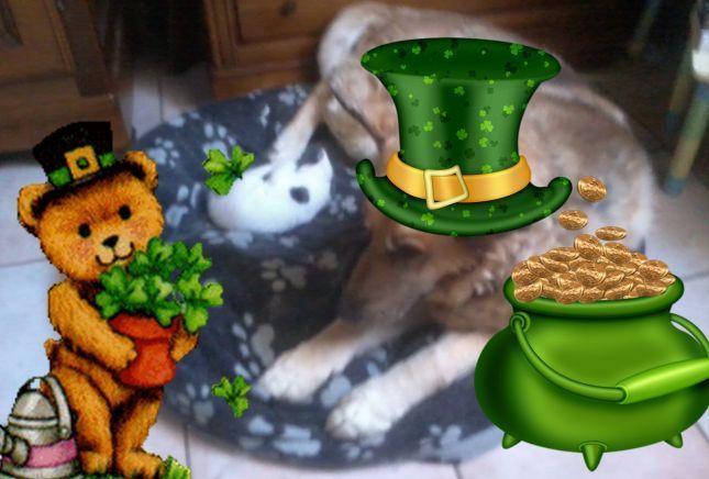 Photo0038pona_et_fanny