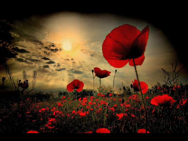 Le dernier poème ... Poème de Claude Marcel Breault