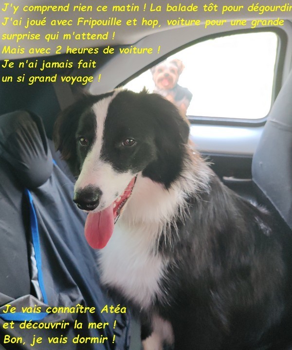 VENUS DECOUVRE ATEA ET... LA MER   01