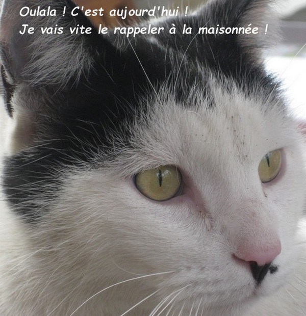 CHANGEMENT D'HEURE PRINTEMPS 2024 !