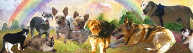 b913cd46fa29e773aad773ddbfc3f94fprovisoire