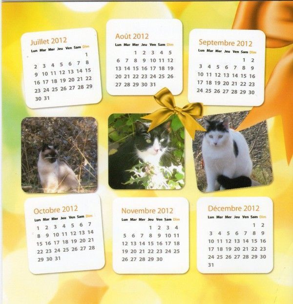 Cartes de Voeux 2012 numéro 2 (3)
