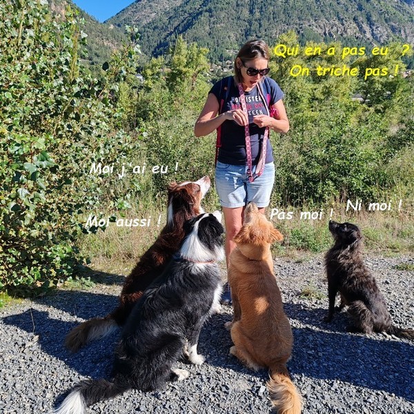 UNE MATINEE DE REVE AVEC WINNIE, TAÎKO ET SUZY 03