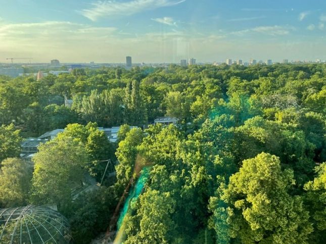 c62bd92b-5c17-4362-85a9-8f0c09173b85