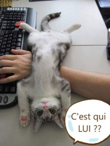 c70ef159f1127621371e5cc02e878d3b