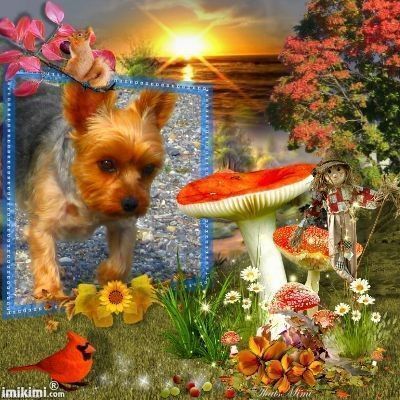 Pour vous ...Bonne journée d'Hénya