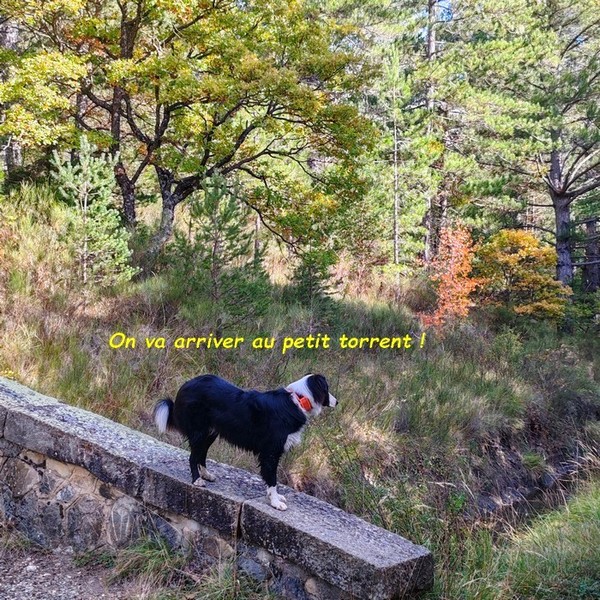  NOS BALADES AUTOMNALES LE LONG DU CANAL DE CHARANCE 02