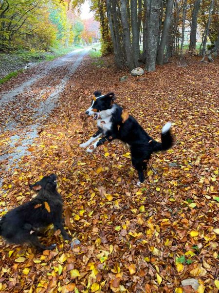 d875fd72-1ef6-4ee0-83d3-b2e40bba1f47