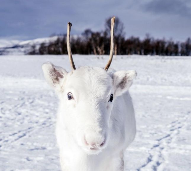 default_2019-12-09_38184661-86cd-4ca0-9adf-a8a606c0a016