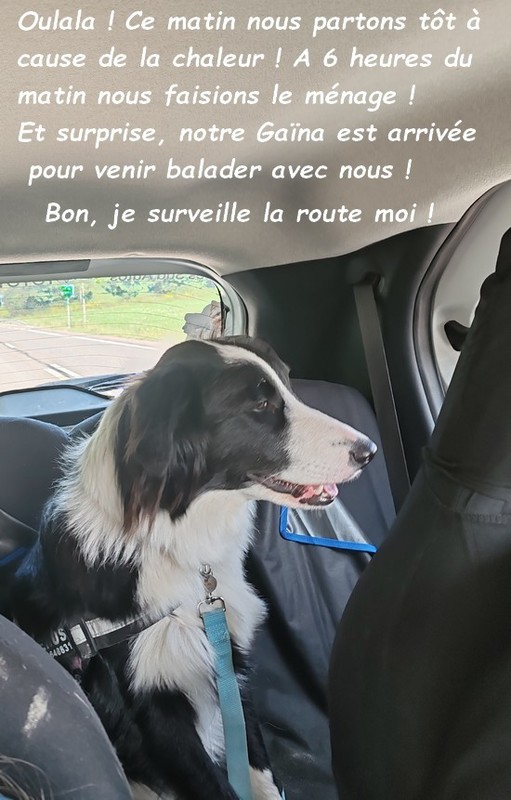 VENUS : MON PREMIER ANNIVERSAIRE 01