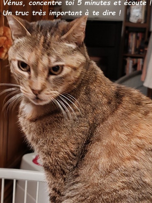 CHANGEMENT D'HEURE PRINTANIER 2025