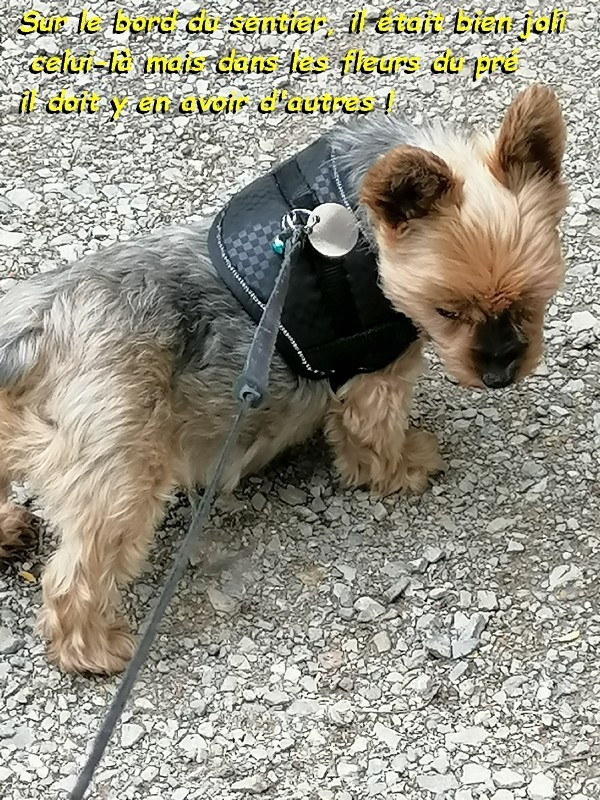   ENCORE AVEC PETITE HENYA LE 29 MAI 2024 02