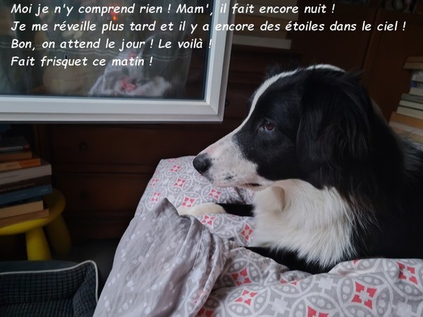 BELLE MATINEE AVEC WINNIE ET SUZIE !   01