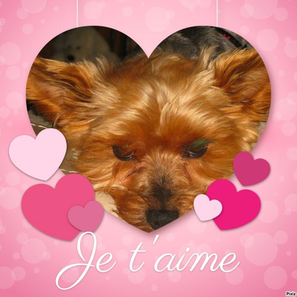 f169b7bb28bf160c035652c4bed19358_1