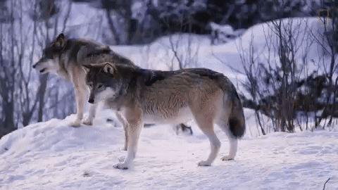 f864454c25f8648387d70995a8bc9c37