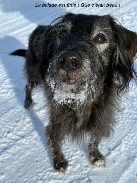 facebook_1769599075421_7422236480437984579bb_1