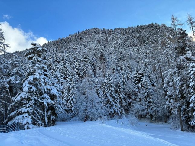 facebook_1769599120449_7422236669295975796bb