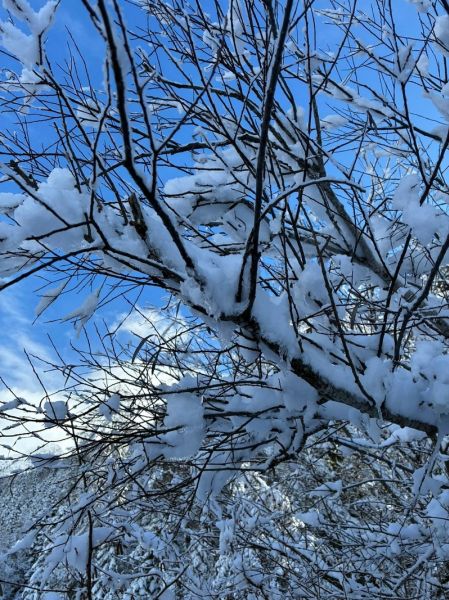 facebook_1769599150483_7422236795270199607bb