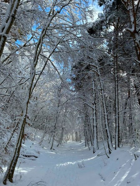 facebook_1769793525958_7423052065100004040bb