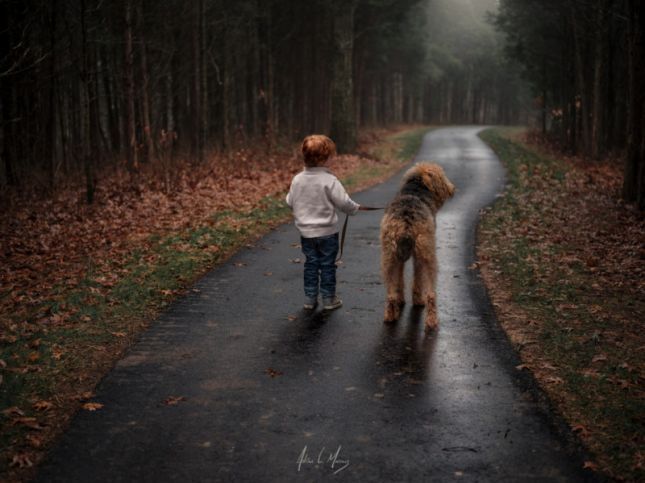 gfximpressions_1-800x600adrian1602