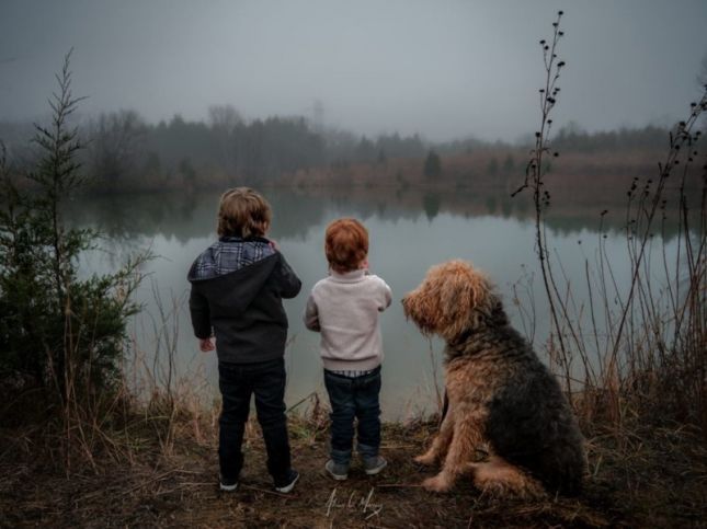 gfximpressions_10-800x600drian1602