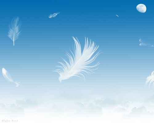 idata_4177892_DIVERS_Plumes