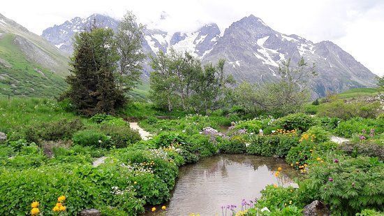jardin-botanique-alpin