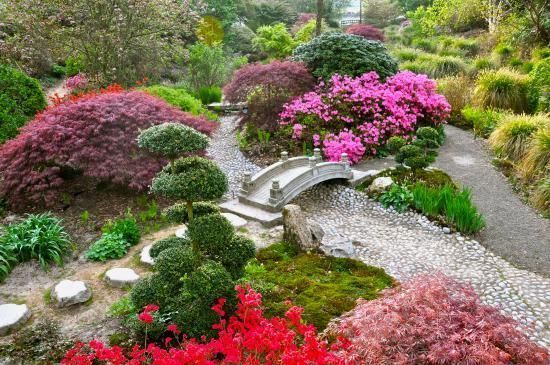 jardin-du-soleil-levant