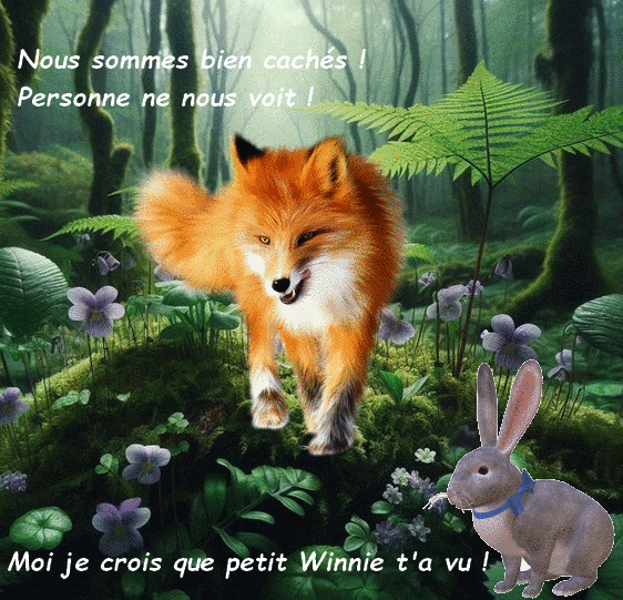 le_renard_et_le_lapin_1