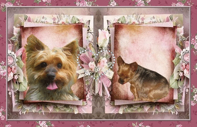 livre_damour_lysiane