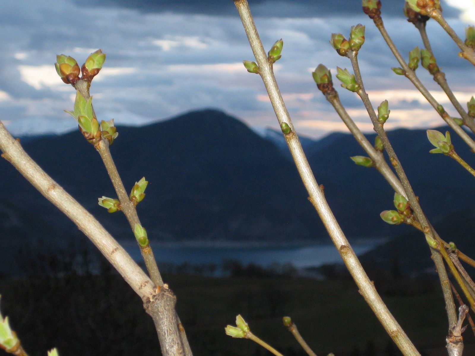 Citation et photo de nature